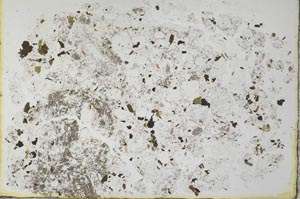 Plane Polarized, S28458