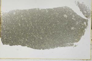 Plane Polarized, S28465