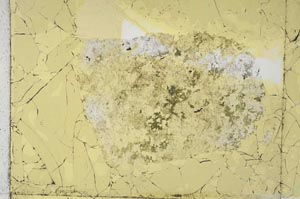 Plane Polarized, S28474