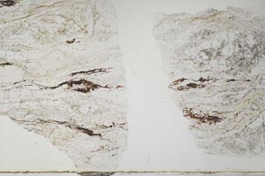 Plane Polarized, S28478/A