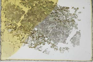 Plane Polarized, S28485
