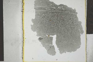 Plane Polarized, S28518