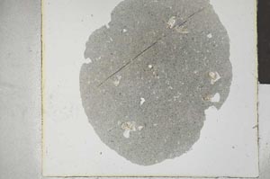 Plane Polarized, S28519
