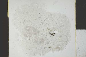 Plane Polarized, S28522