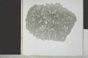 Plane Polarized, S28527