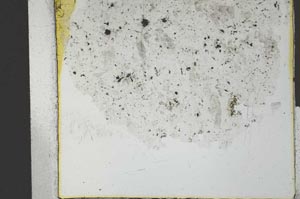 Plane Polarized, S28530