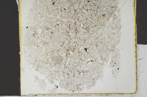 Plane Polarized, S28531