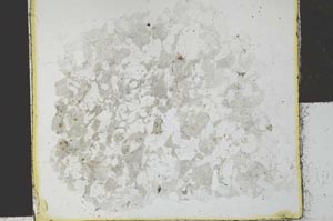 Plane Polarized, S28533