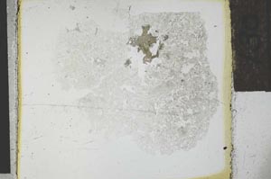 Plane Polarized, S28535
