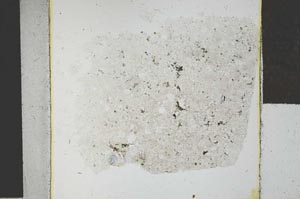 Plane Polarized, S28536