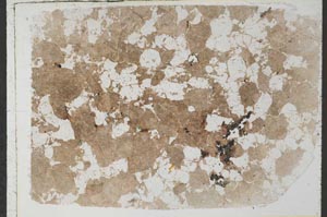 Plane Polarized, S28537