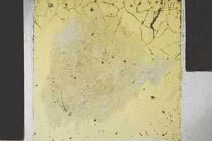 Plane Polarized, S28538