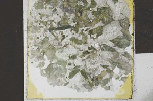 Plane Polarized, S28543