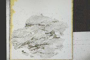 Plane Polarized, S28547