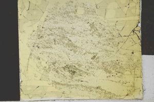 Plane Polarized, S28549