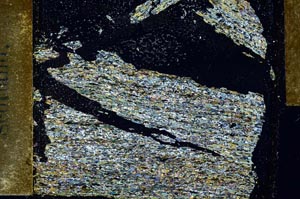 Cross Polarized, S28552