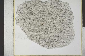 Plane Polarized, S28557
