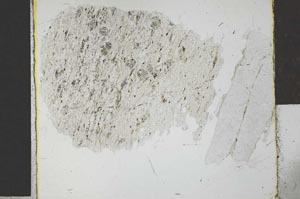 Plane Polarized, S28559