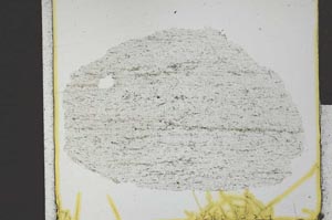 Plane Polarized, S28560