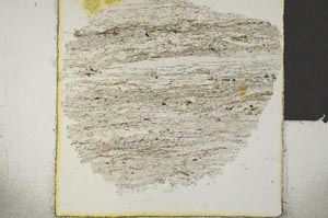 Plane Polarized, S28561