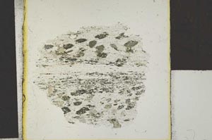Plane Polarized, S28564