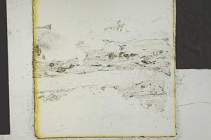 Plane Polarized, S28568