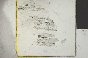 Plane Polarized, S28568/A