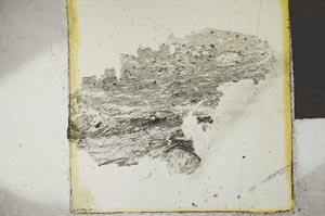 Plane Polarized, S28569
