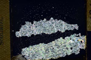 Cross Polarized, S28577