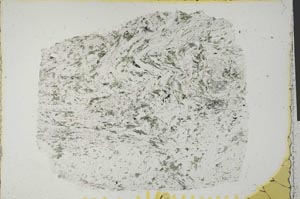 Plane Polarized, S28586/A