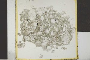 Plane Polarized, S28607