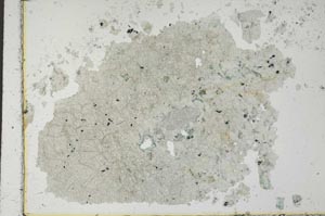 Plane Polarized, S28617