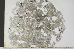 Plane Polarized, S28634