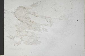 Plane Polarized, S28643