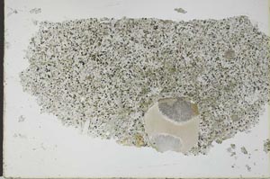 Plane Polarized, S28677