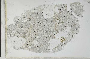 Plane Polarized, S28683