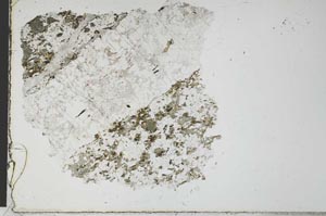 Plane Polarized, S28687