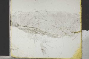 Plane Polarized, S28712