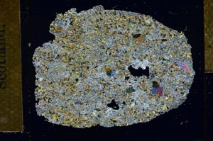 Cross Polarized, S28713