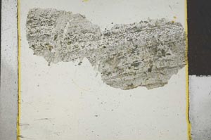 Plane Polarized, S28716