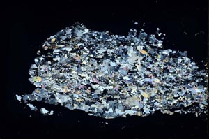 Cross Polarized, S28720/B