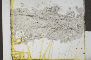 Plane Polarized, S28729