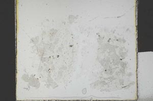 Plane Polarized, S28735