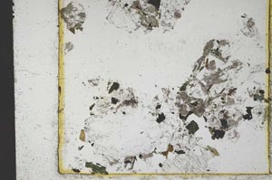 Plane Polarized, S28738