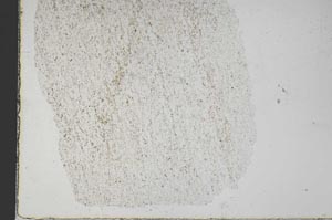Plane Polarized, S28741
