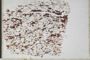 Plane Polarized, S28742