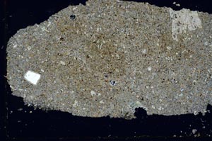 Cross Polarized, S28759