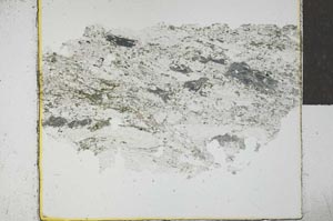 Plane Polarized, S28775