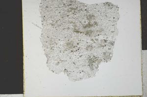 Plane Polarized, S28776