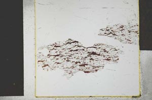 Plane Polarized, S28780